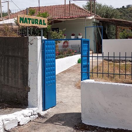 Natural Hostel Himarë Extérieur photo