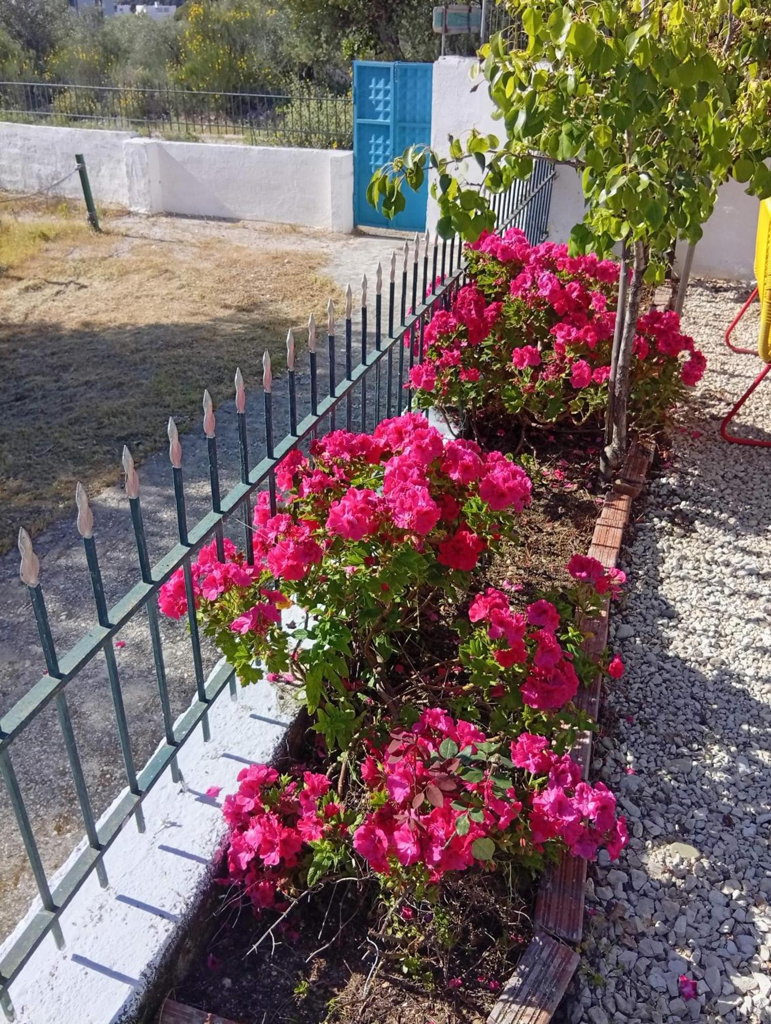 Natural Hostel Himarë Extérieur photo